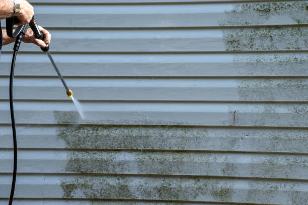 Best Steel Siding Installation  in Jasper, TN
