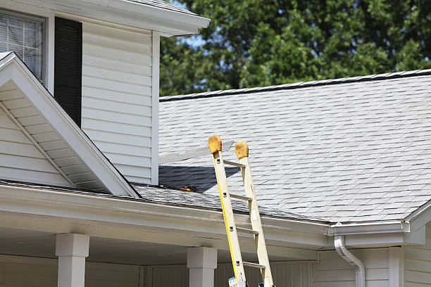 Best Siding for Commercial Buildings  in Jasper, TN